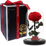 1 Forever Rose Navy Blue σε γυάλινη καμπάνα 1 5 Λόγοι για να επιλέξτε τα Forever Roses