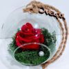 Κόκκινο Forever Rose Ecuador σε Γυάλινη Καμπάνα – Το Παντοτινό Τριαντάφυλλο Dragatakis Flowers Marousi 3