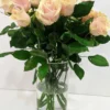 Τριαντάφυλλα Rhodos εισαγωγής 60cm 4 Ιβουάρ Τριαντάφυλλα 70cm