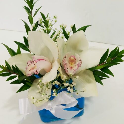 Ανθοσύνθεση με γαλάζιο τζελ σε γύαλινο κύβο με ορχιδέες συμπίντιουμ (Cymbidium)