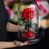Κόκκινο αποχυμωμένο τριαντάφυλλο Forever Rose σε γυάλινη καμπάνα - Dragatakis Flowers.