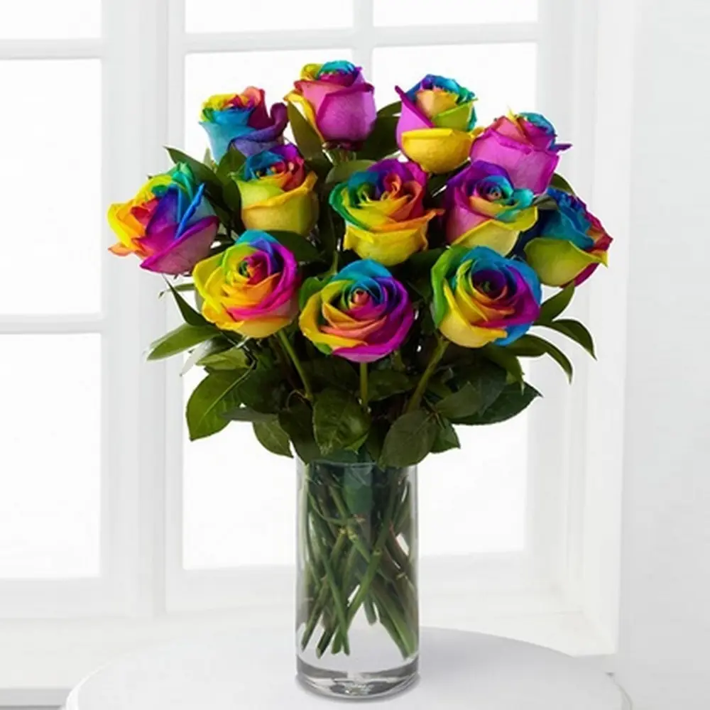 Τριαντάφυλλα ουράνιο τόξο Τριαντάφυλλα ουράνιο τόξο