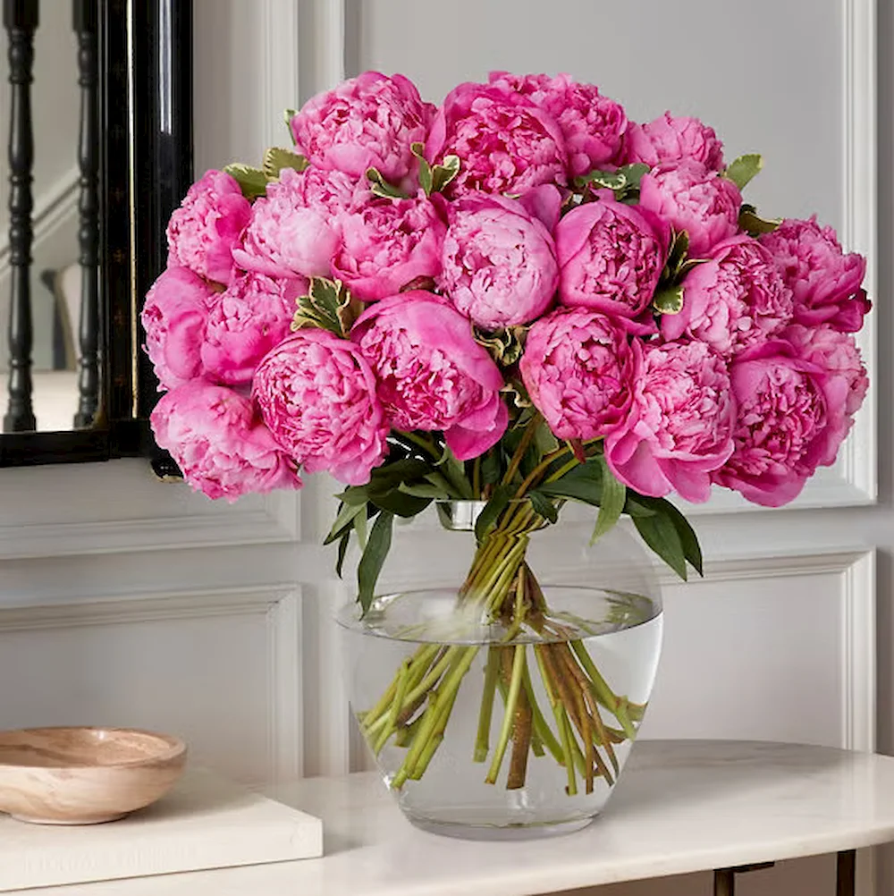 Παιώνιες φούξια paionies-fouxia-anthodesmi-doro-gennisis-marousi