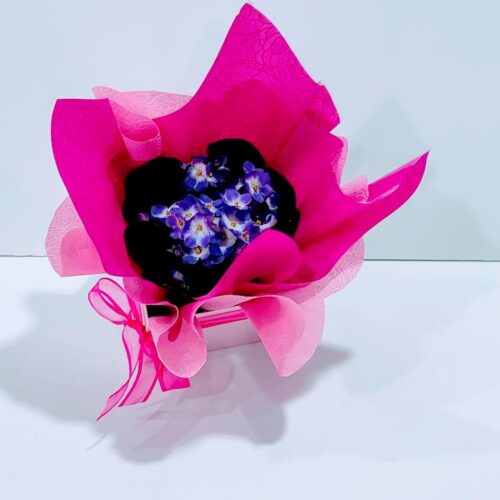 Σαιντπώλια μωβ σε τετράγωνο κουτί