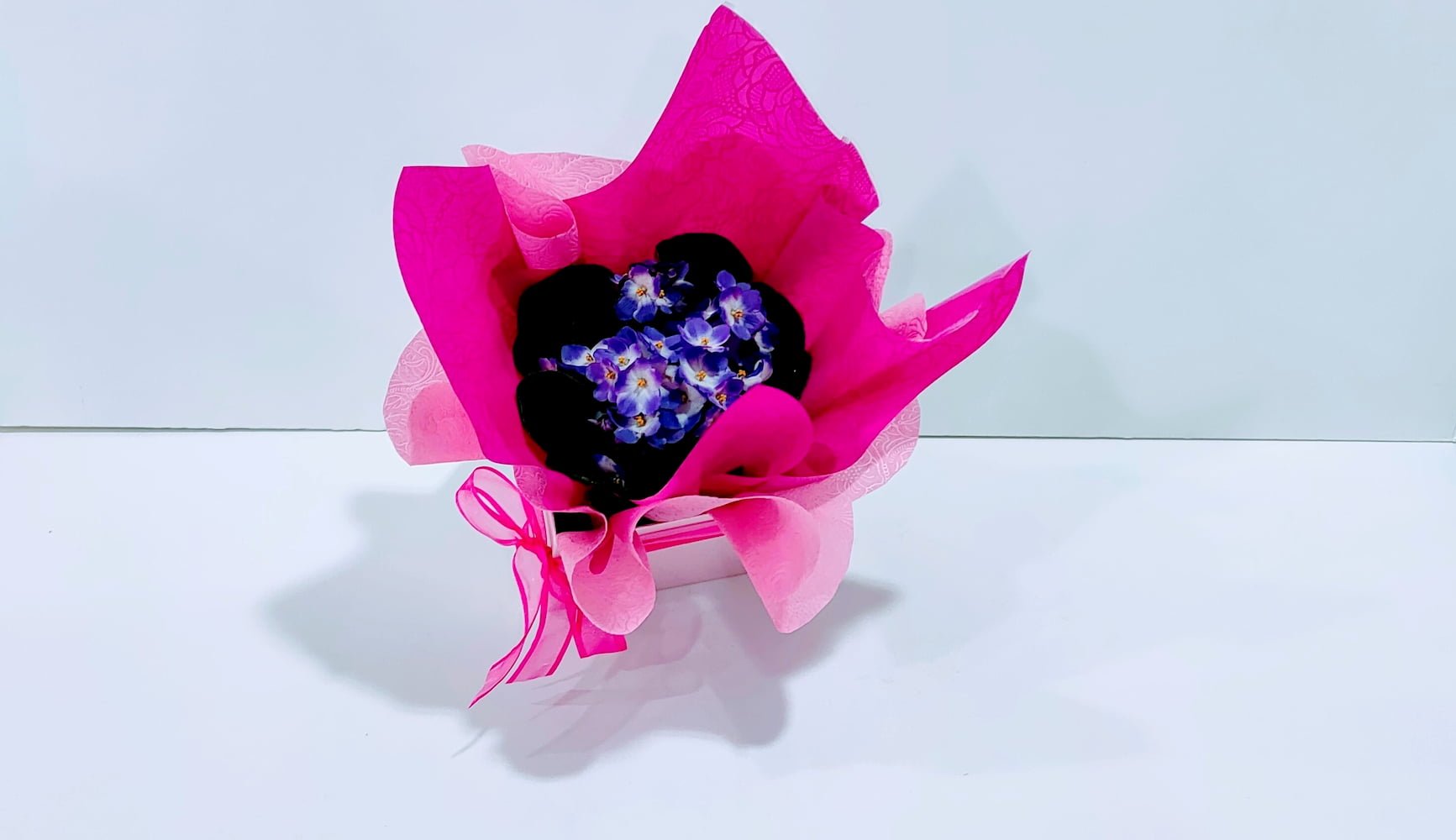 Σαιντπώλια μωβ σε τετράγωνο κουτί Σαιντπώλια μωβ σε τετράγωνο κουτί