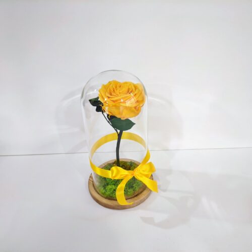 Forever Rose κίτρινο σε γυάλινη καμπάνα