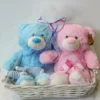 Λούτρινο ροζ αρκουδάκι 25cm 2 Σύνθεση σε ψάθινο καλάθι για δίδυμα