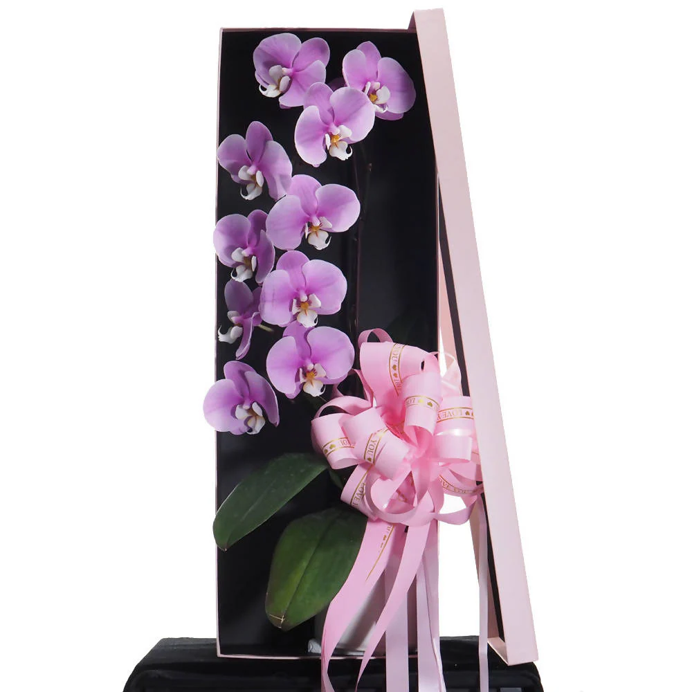 8 λόγοι που αξίζει η ορχιδέα Phalaenopsis να επιλεγεί ως δώρο