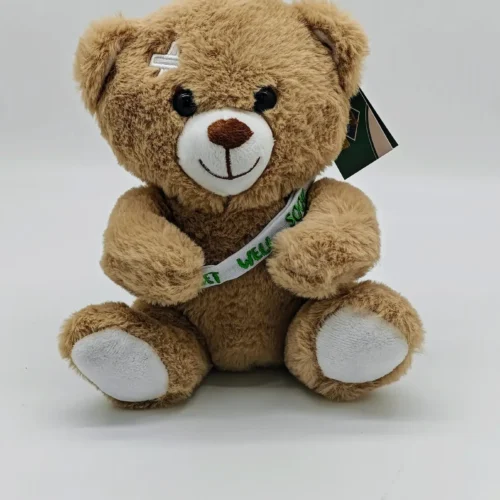 Αρκούδος get well 22cm