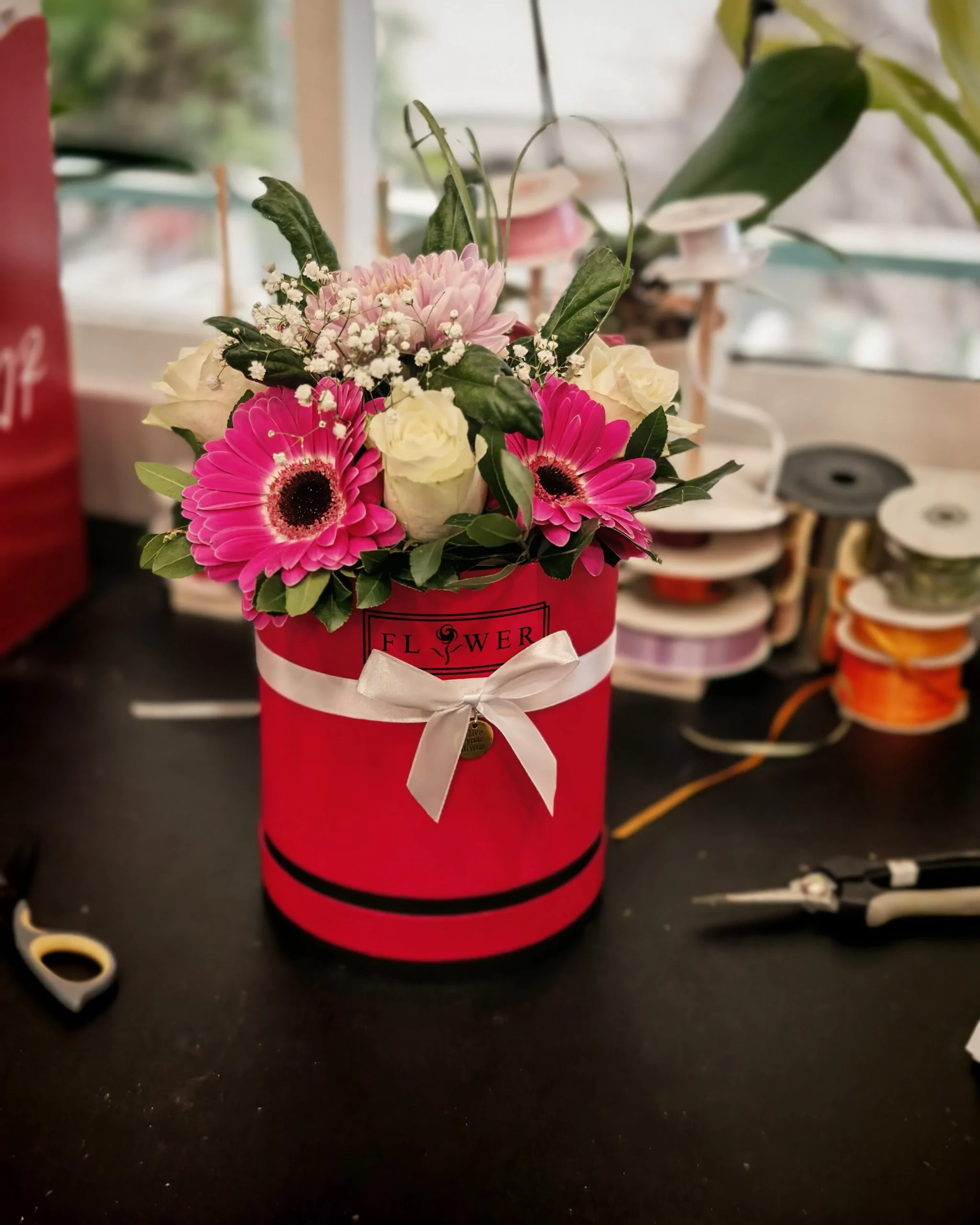 Fuchsia Passion Fuchsia Passion