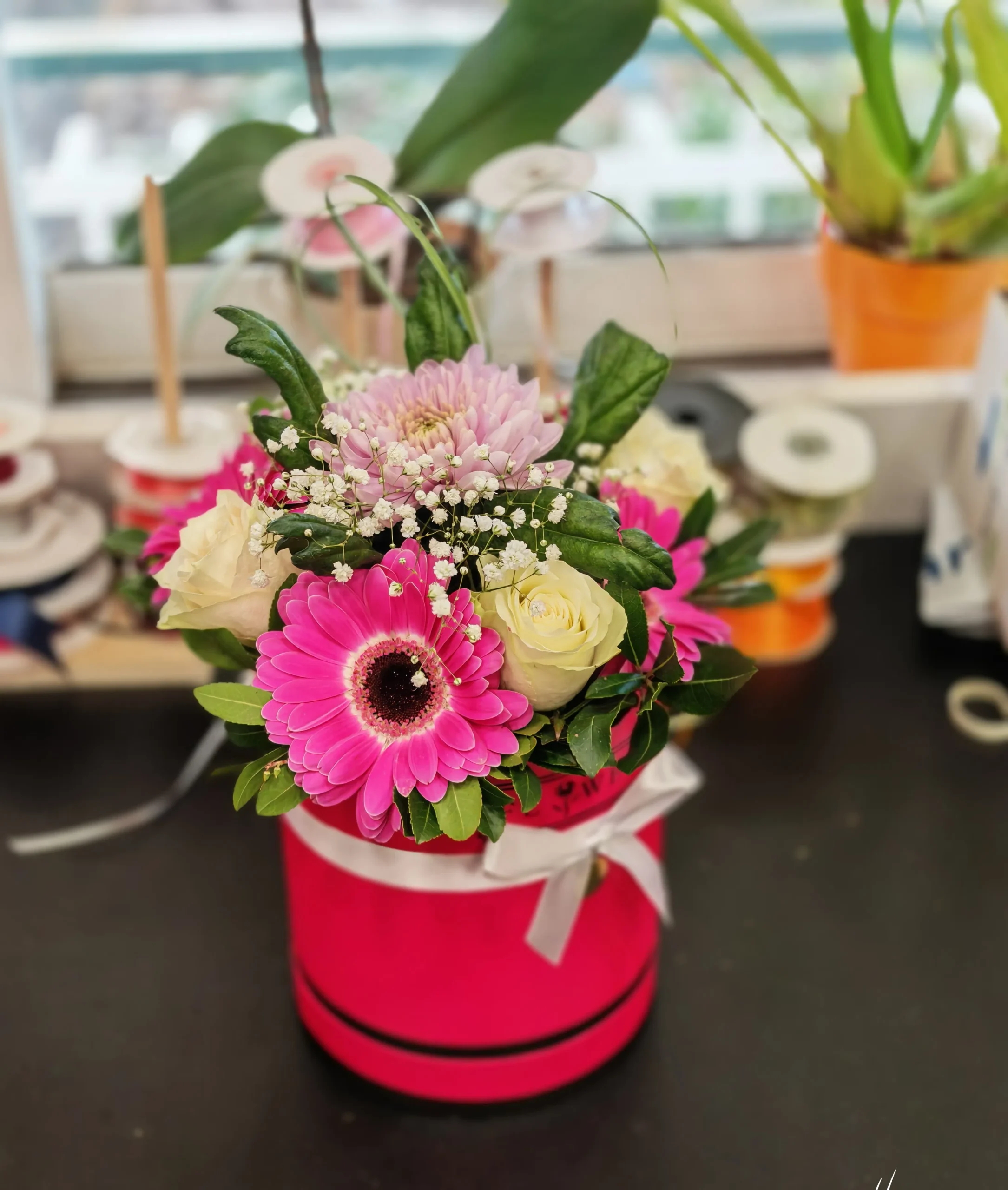 Fuchsia Passion 2 Fuchsia Passion - Image 2